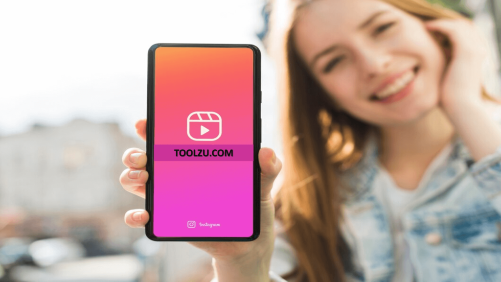 Toolzu - Instagram Video Downloader