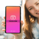 What is Toolzu? Video Downloader For Instagram