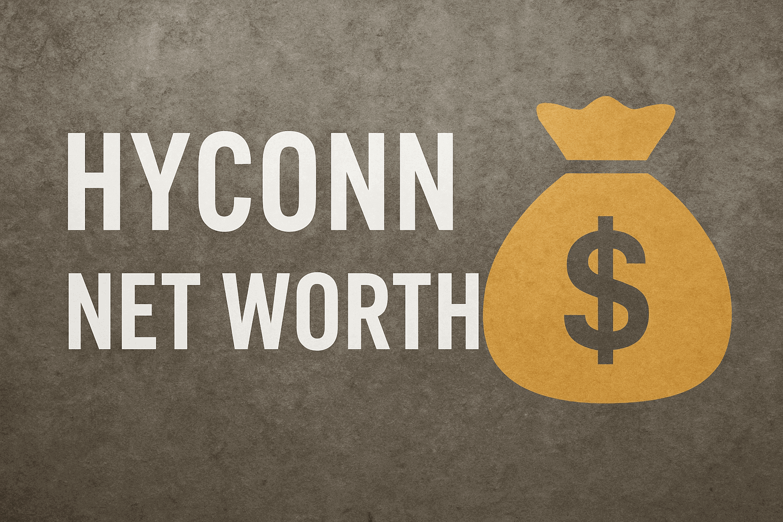 Hyconn Net Worth
